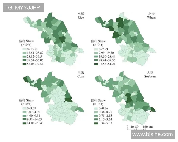 社交赌场中的资源收集与建造机制探讨与创新实践分析